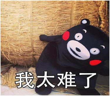 污水提升器 污水提升器